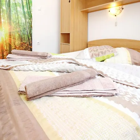 Aquarium Dorcic Guest house *