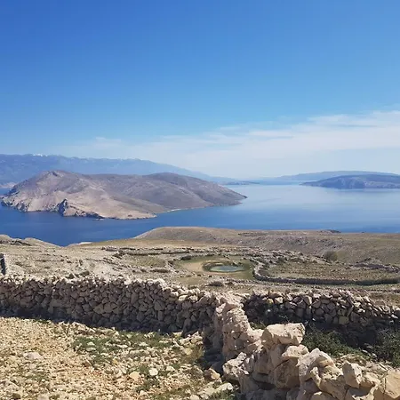 Aquarium Dorcic バスカ